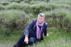 3D4E4D41-7EFA-40BA-AB03-735AC957558E