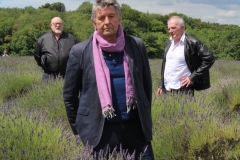 6965ED30-5C66-43DC-9836-1382DCDFD020