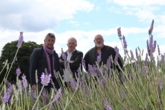 69E508DB-E39D-4D67-B77F-FFA1A6025343